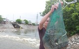 Bất chấp nguy hiểm người dân dùng kích điện bắt cá trên sông Kim Ngưu